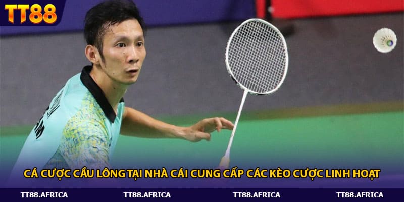 Cá cược Cầu lông tại nhà cái cung cấp các kèo cược linh hoạt