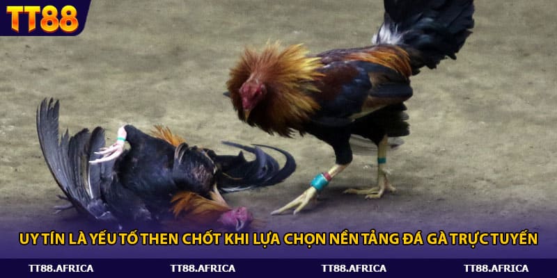 Uy tín là yếu tố then chốt khi lựa chọn nền tảng đá gà trực tuyến.